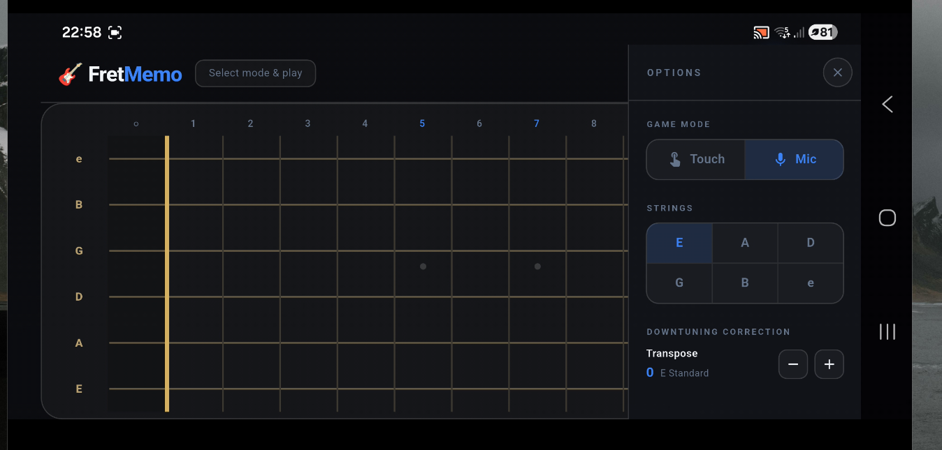 **FretMemo** image 3
